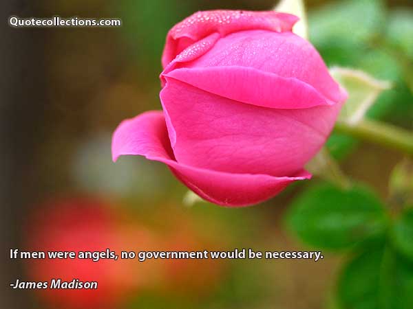 James Madison Quotes4